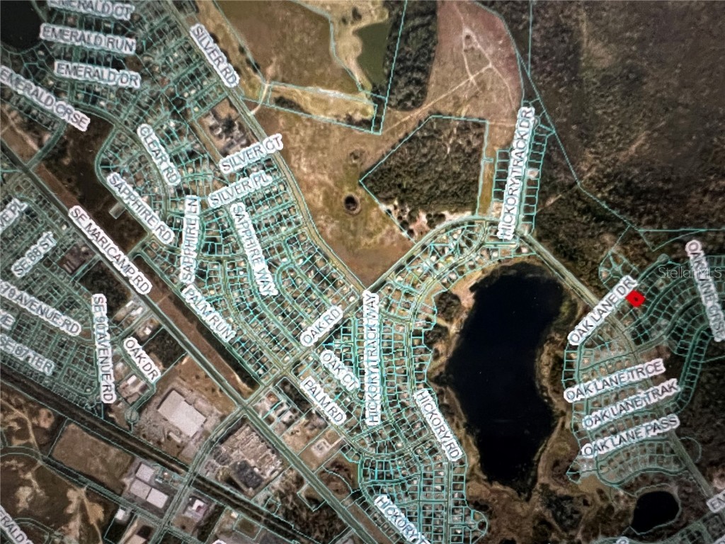 293 Oak Lane Drive Ocala FL 34472 OM691079 image9