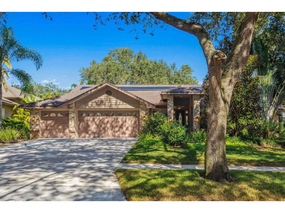 2930 Elysium Way Clearwater FL 33759 T3479931 image1