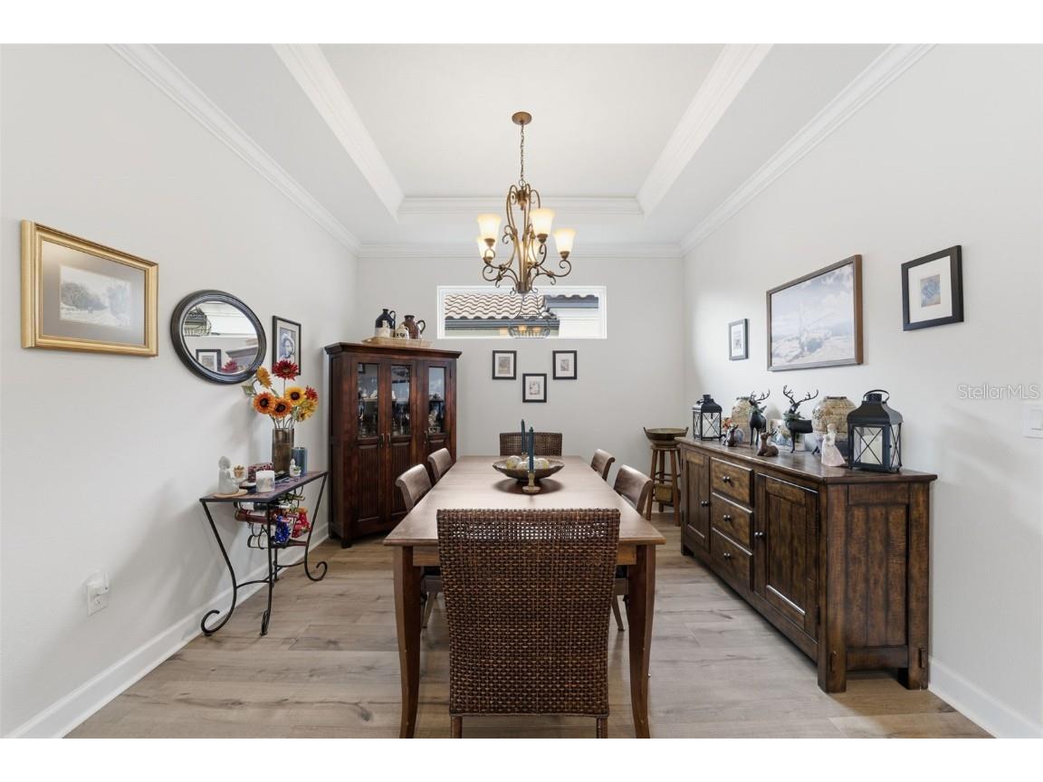 2930 Francoa Drive Odessa FL 33556 TB8449887 image12