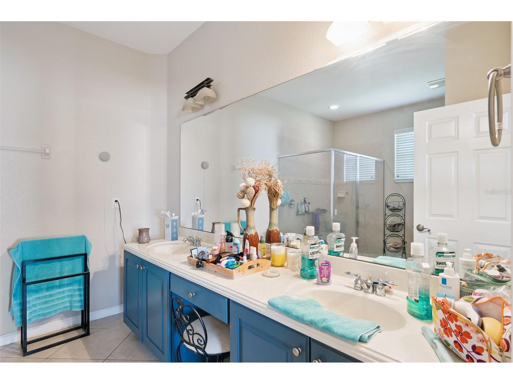 2930 White Cedar Circle Kissimmee FL 34741 O6423520 image10