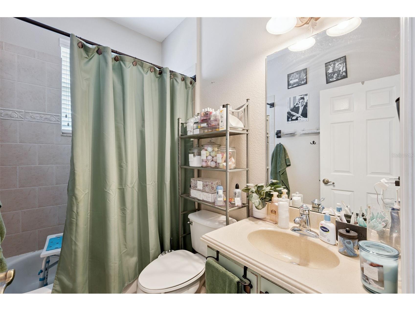2930 White Cedar Circle Kissimmee FL 34741 O6423520 image13
