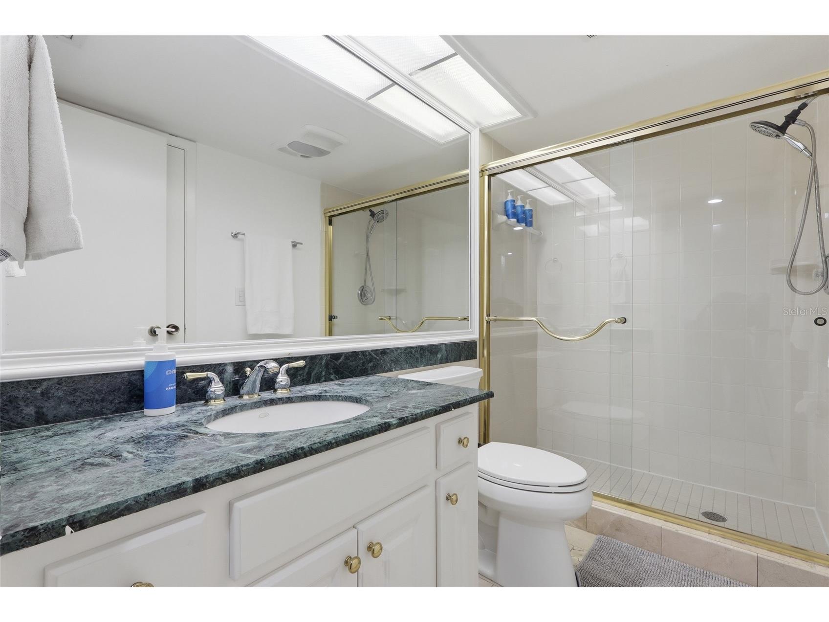 29300 Bay Hollow Drive #3257 Wesley Chapel FL 33543 TB8506634 image19