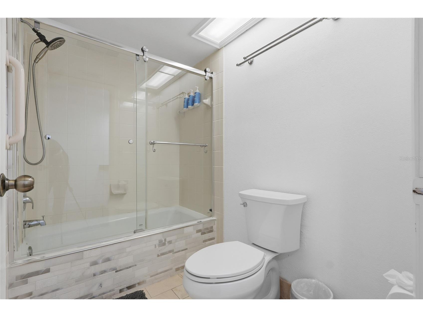 29300 Bay Hollow Drive #3257 Wesley Chapel FL 33543 TB8506634 image21