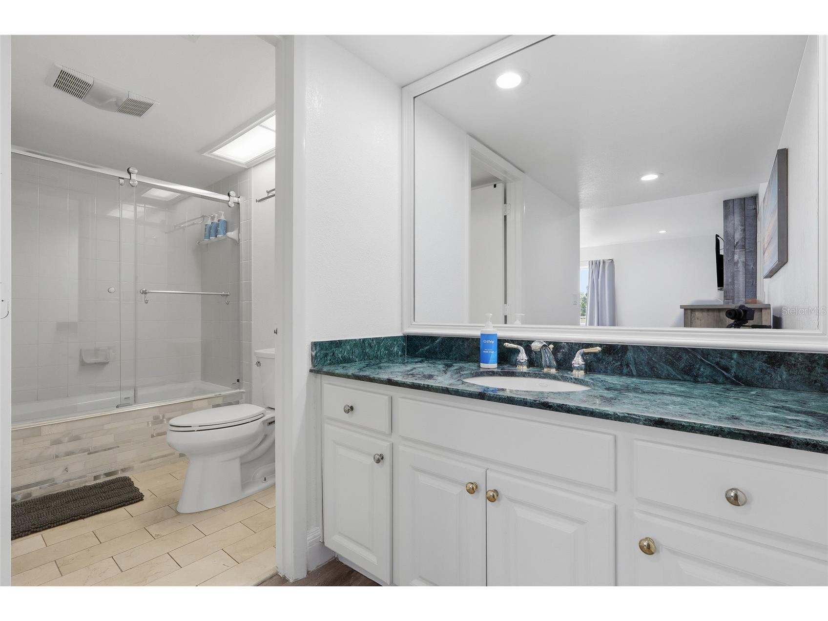 29300 Bay Hollow Drive #3257 Wesley Chapel FL 33543 TB8506634 image22