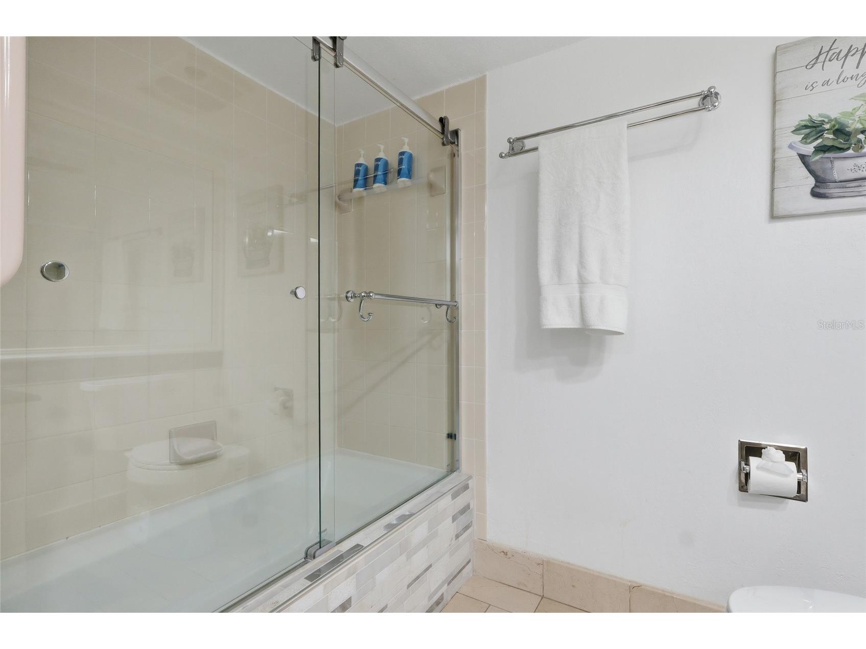 29300 Bay Hollow Drive #3257 Wesley Chapel FL 33543 TB8506634 image29