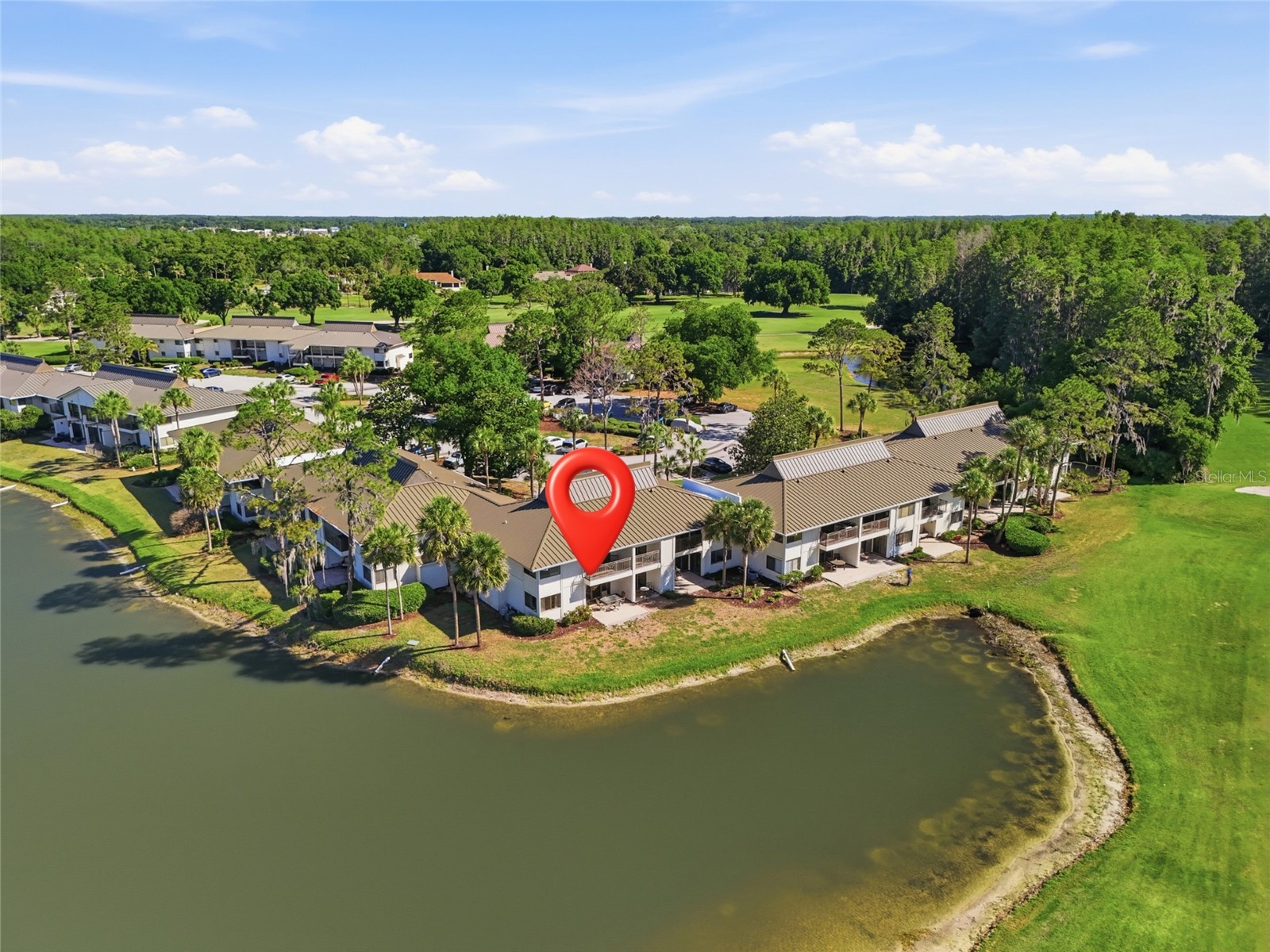 29300 Bay Hollow Drive #3257 Wesley Chapel FL 33543 TB8506634 image3
