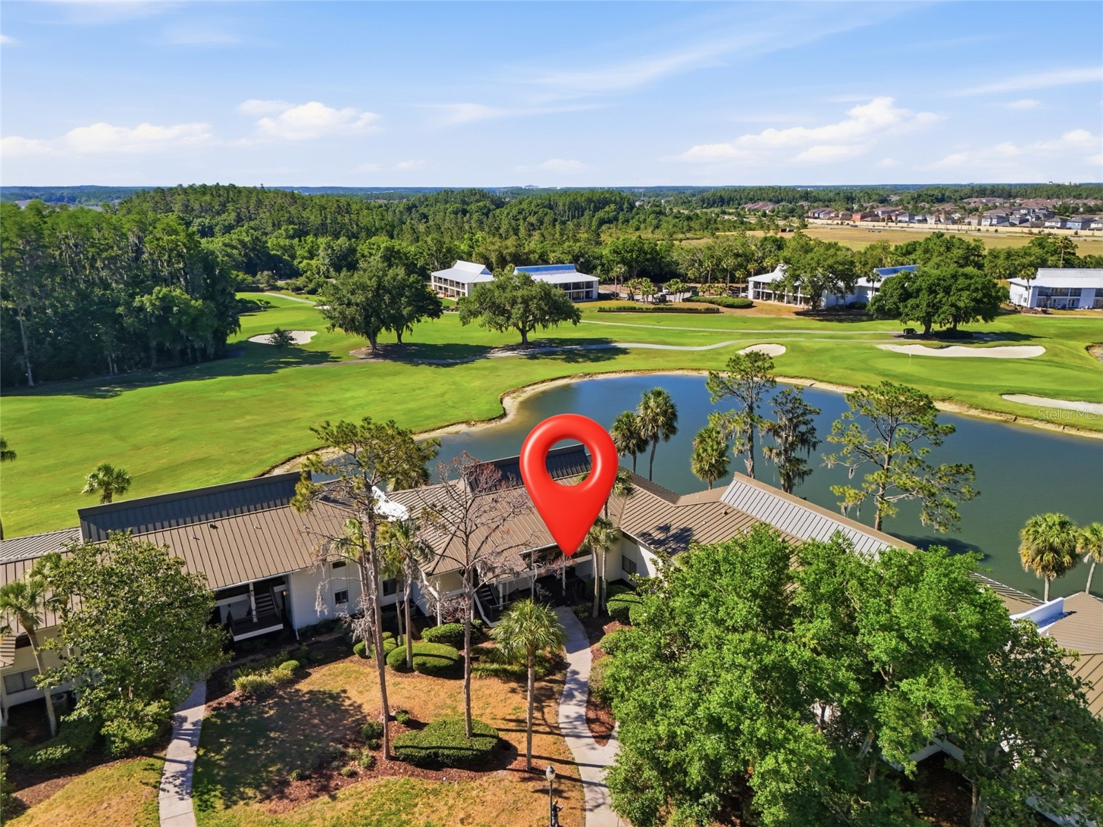 29300 Bay Hollow Drive #3257 Wesley Chapel FL 33543 TB8506634 image36