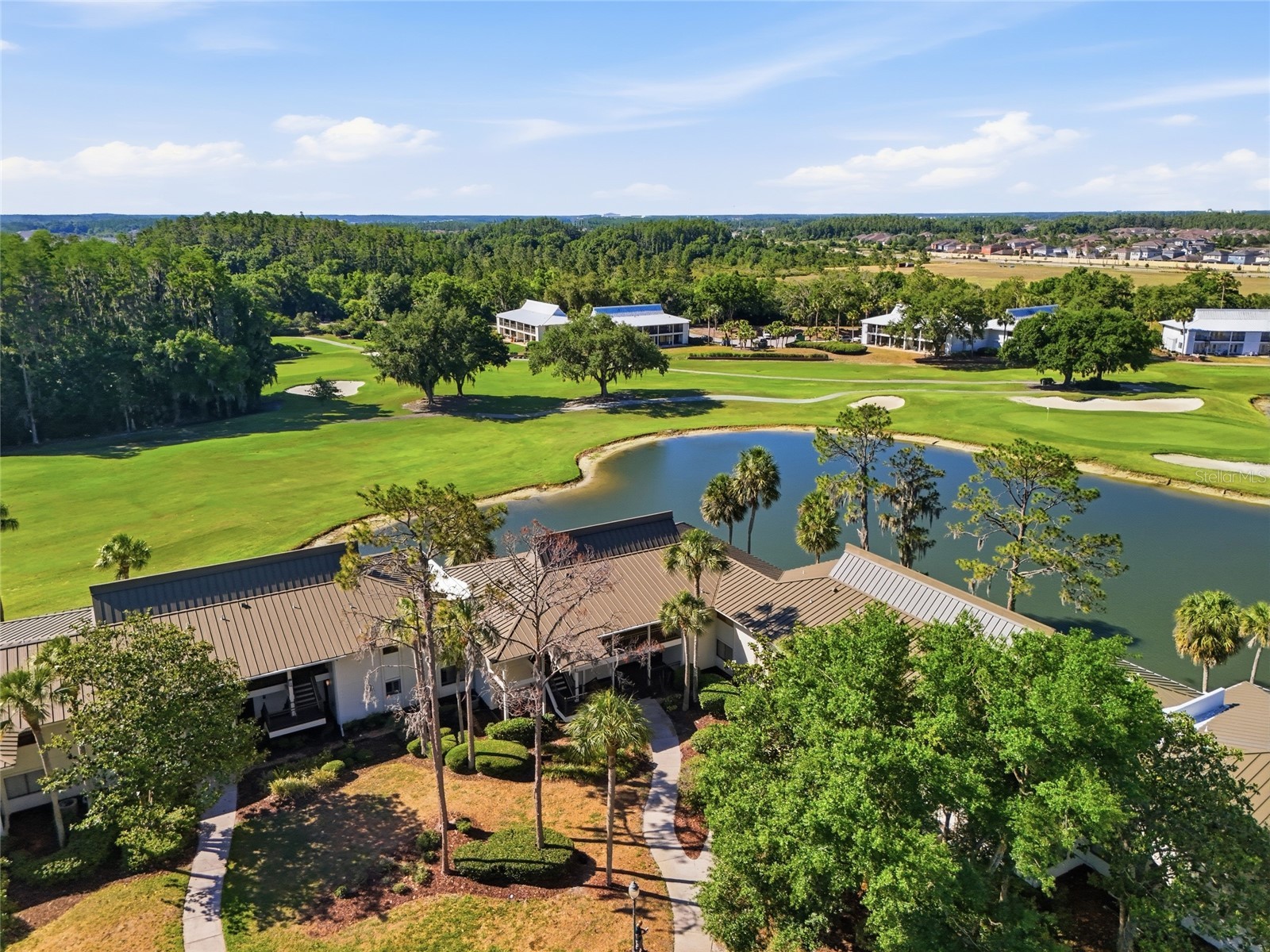 29300 Bay Hollow Drive #3257 Wesley Chapel FL 33543 TB8506634 image38