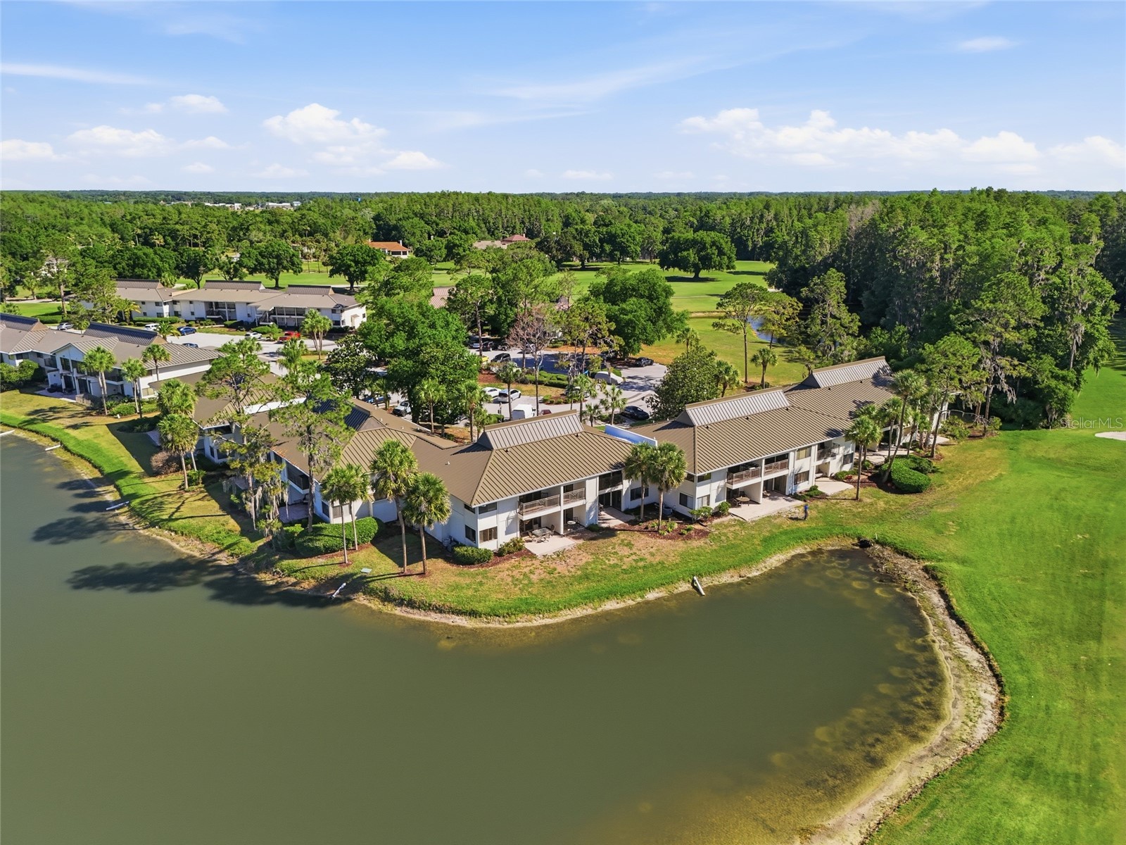 29300 Bay Hollow Drive #3257 Wesley Chapel FL 33543 TB8506634 image40