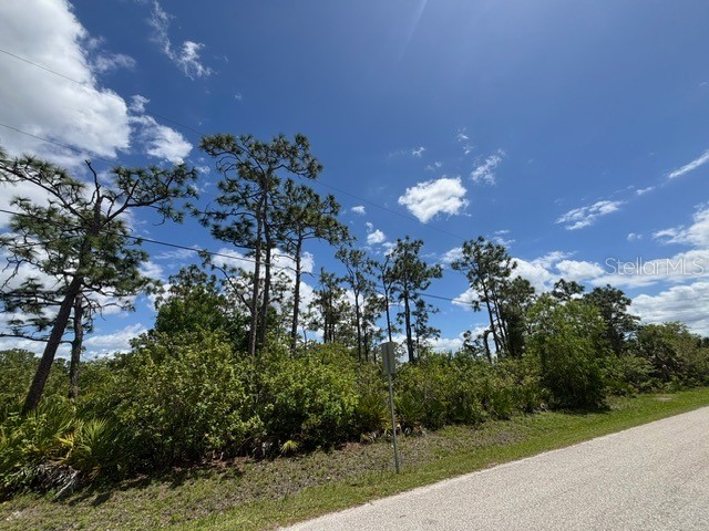 29305 Hazelwood Drive Punta Gorda FL 33982 C7525505 image10