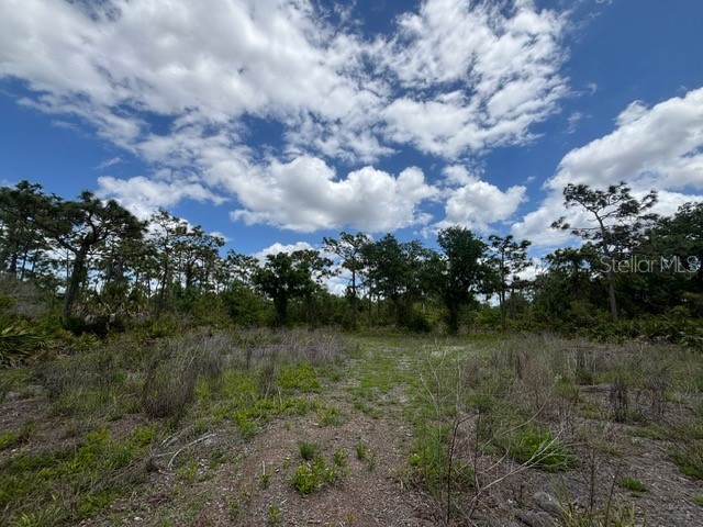 29305 Hazelwood Drive Punta Gorda FL 33982 C7525505 image11