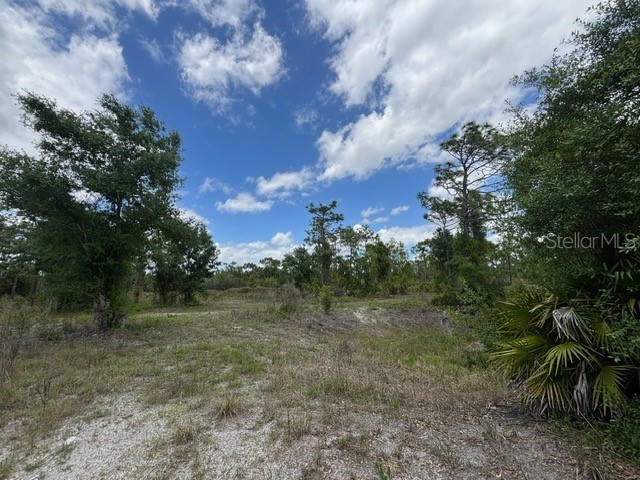 29305 Hazelwood Drive Punta Gorda FL 33982 C7525505 image12