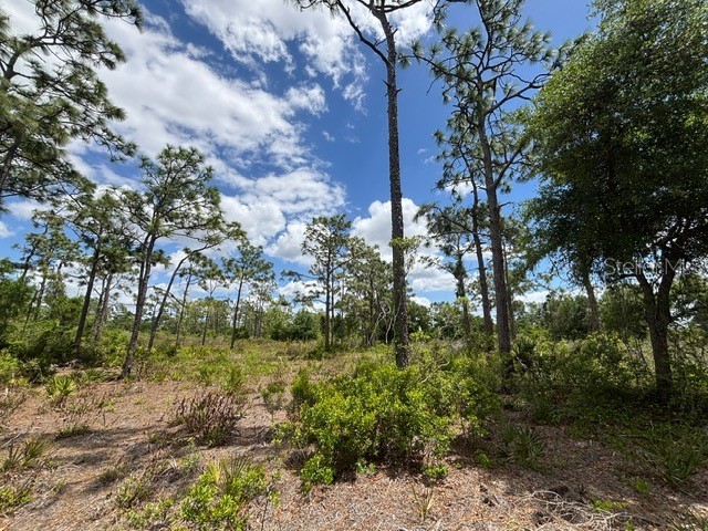 29305 Hazelwood Drive Punta Gorda FL 33982 C7525505 image13