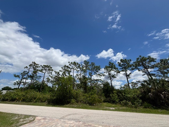29305 Hazelwood Drive Punta Gorda FL 33982 C7525505 image2