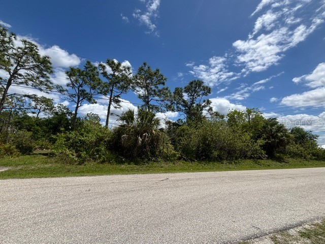29305 Hazelwood Drive Punta Gorda FL 33982 C7525505 image6