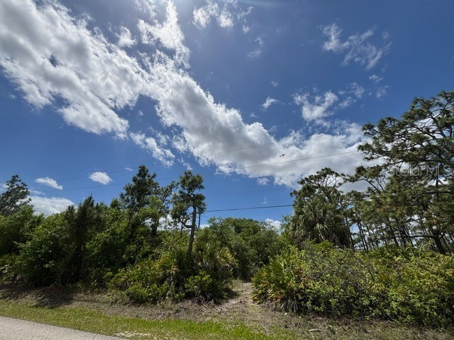 29305 Hazelwood Drive Punta Gorda FL 33982 C7525505 image7