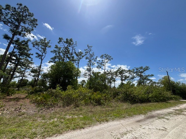 29305 Hazelwood Drive Punta Gorda FL 33982 C7525505 image9