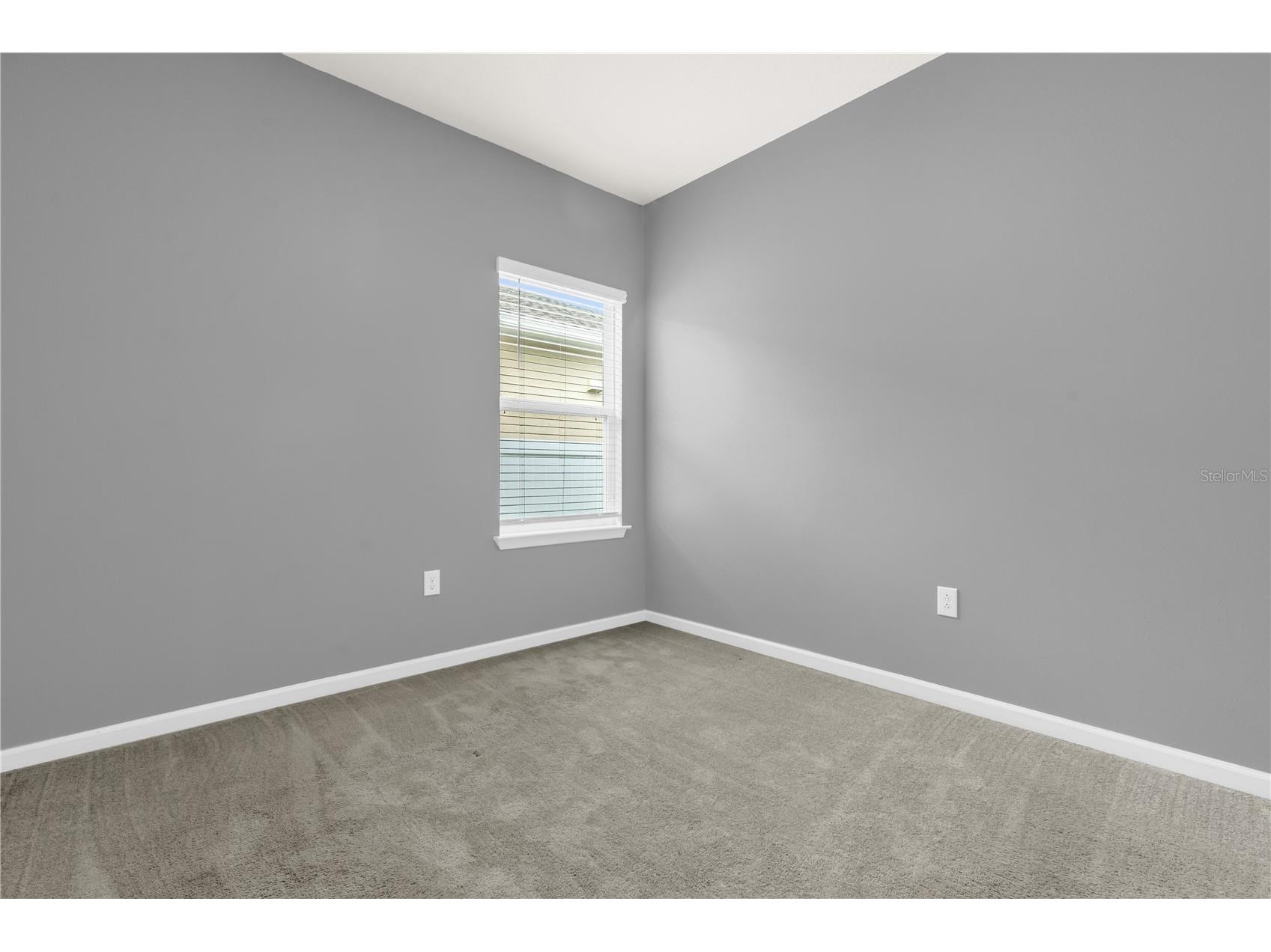 29307 Meadowcroft Avenue Wesley Chapel FL 33544 O6396604 image20