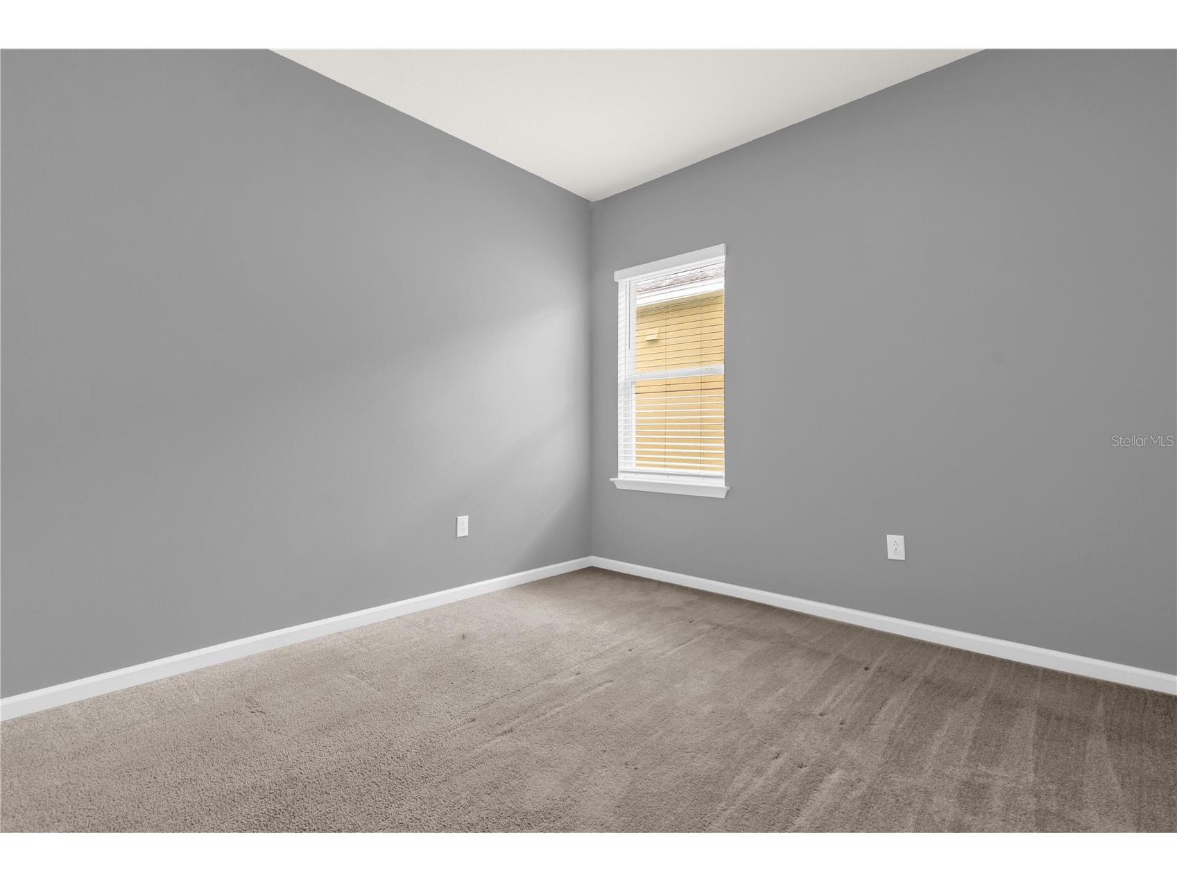 29307 Meadowcroft Avenue Wesley Chapel FL 33544 O6396604 image22