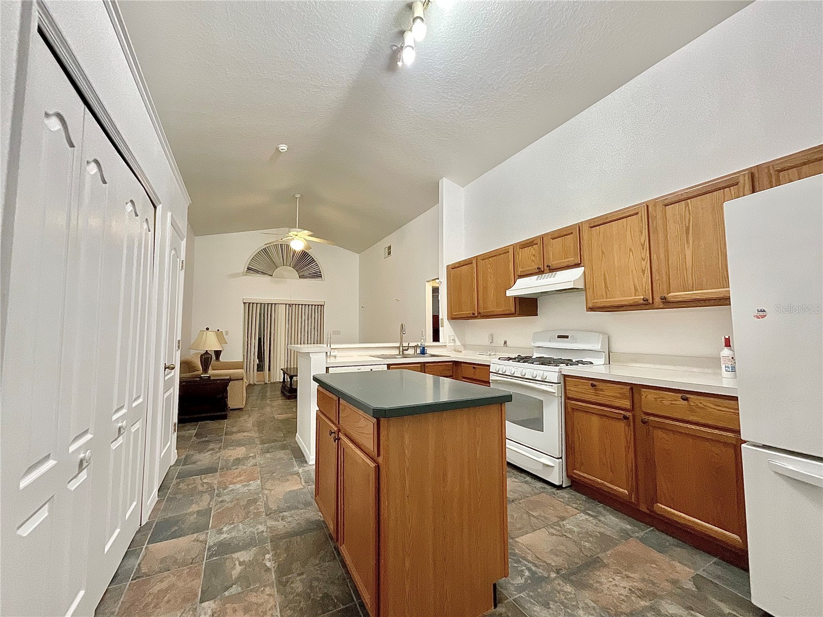 2931 Oaktree Drive Kissimmee FL 34744 O6389581 image3