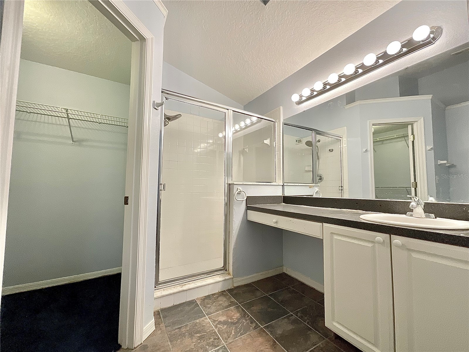 2931 Oaktree Drive Kissimmee FL 34744 O6389581 image9