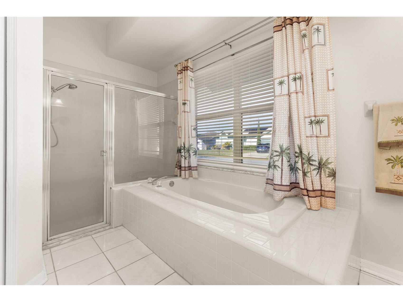2931 Paddington Way Kissimmee FL 34747 S5152925 image26