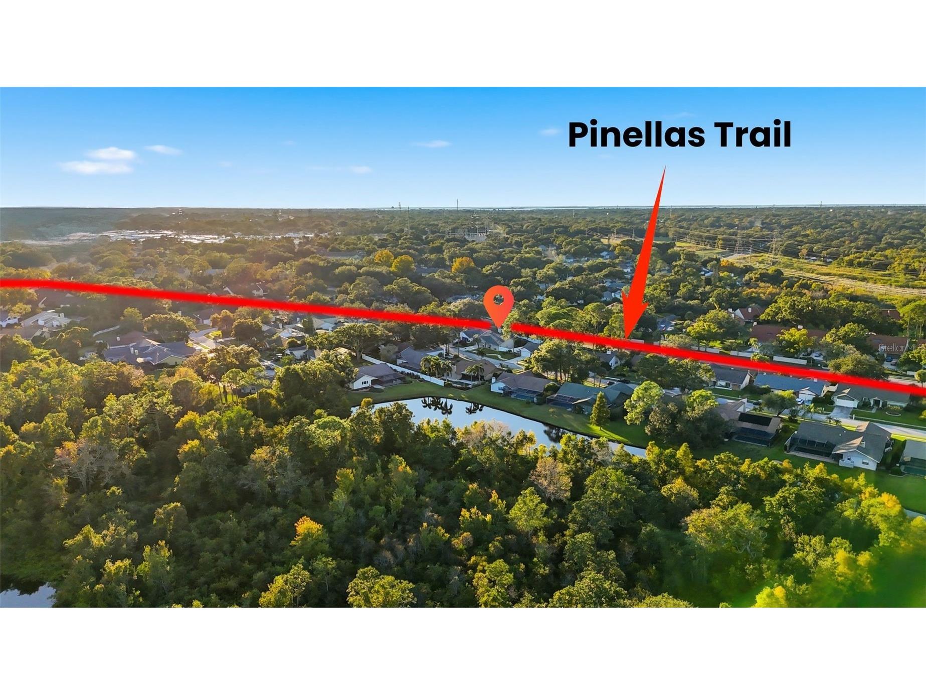 2931 Pinewood Run Palm Harbor FL 34684 TB8444157 image3