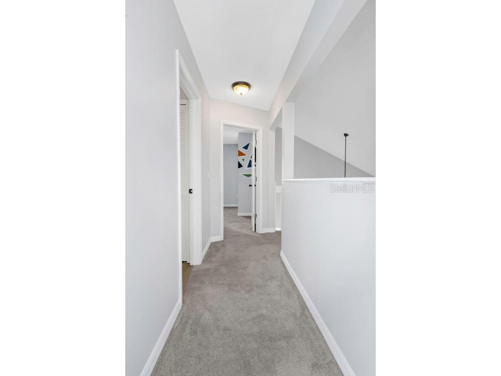 2931 Shannon Circle Palm Harbor FL 34684 TB8425793 image11