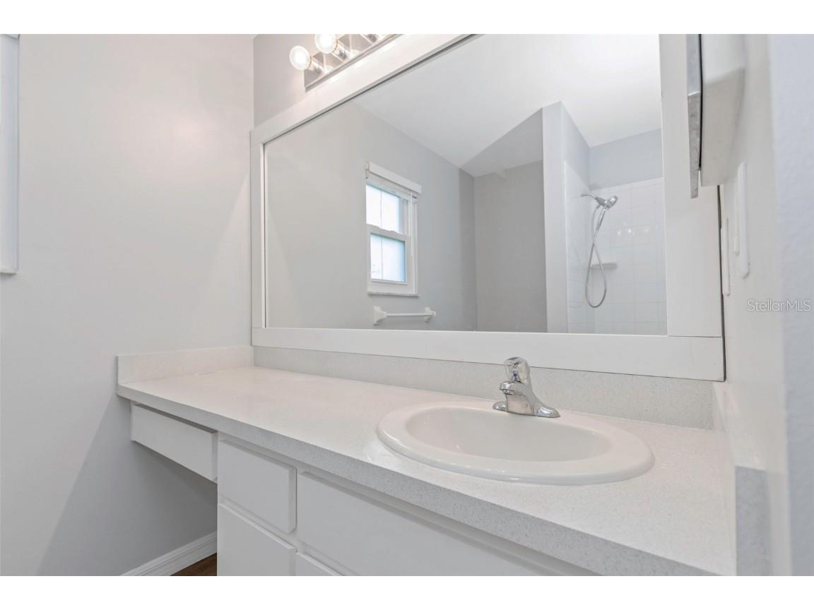 2931 Shannon Circle Palm Harbor FL 34684 TB8425793 image21