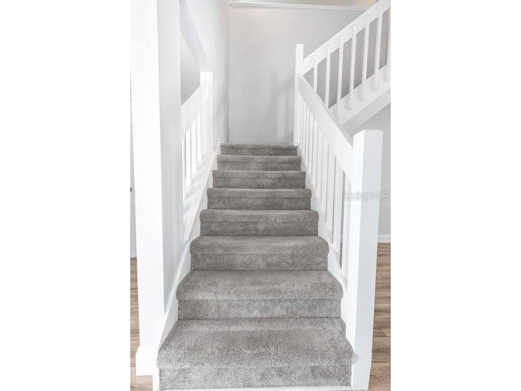 2931 Shannon Circle Palm Harbor FL 34684 TB8425793 image29