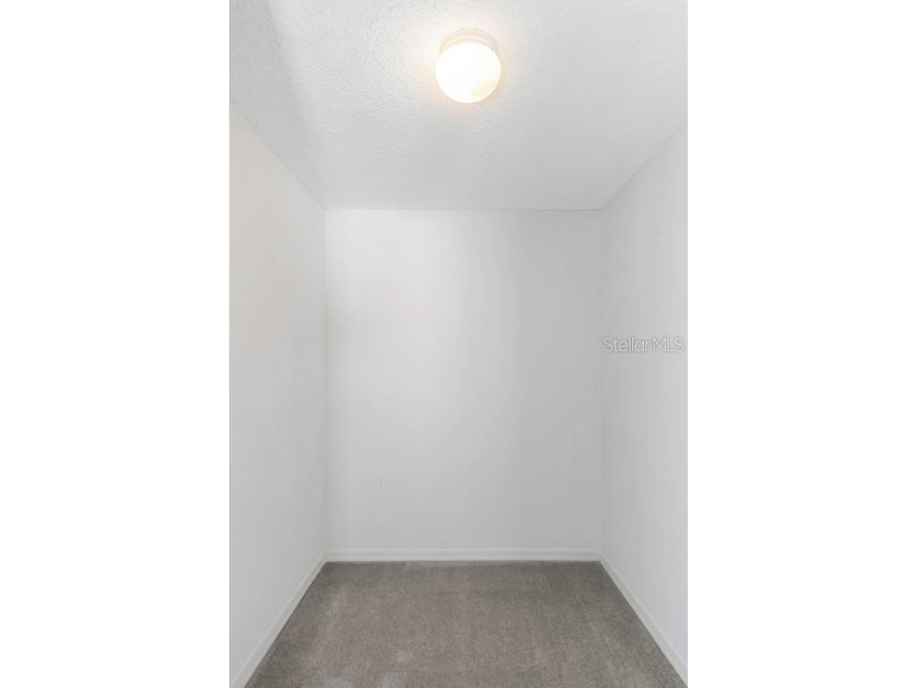 2931 Shannon Circle Palm Harbor FL 34684 TB8425793 image33