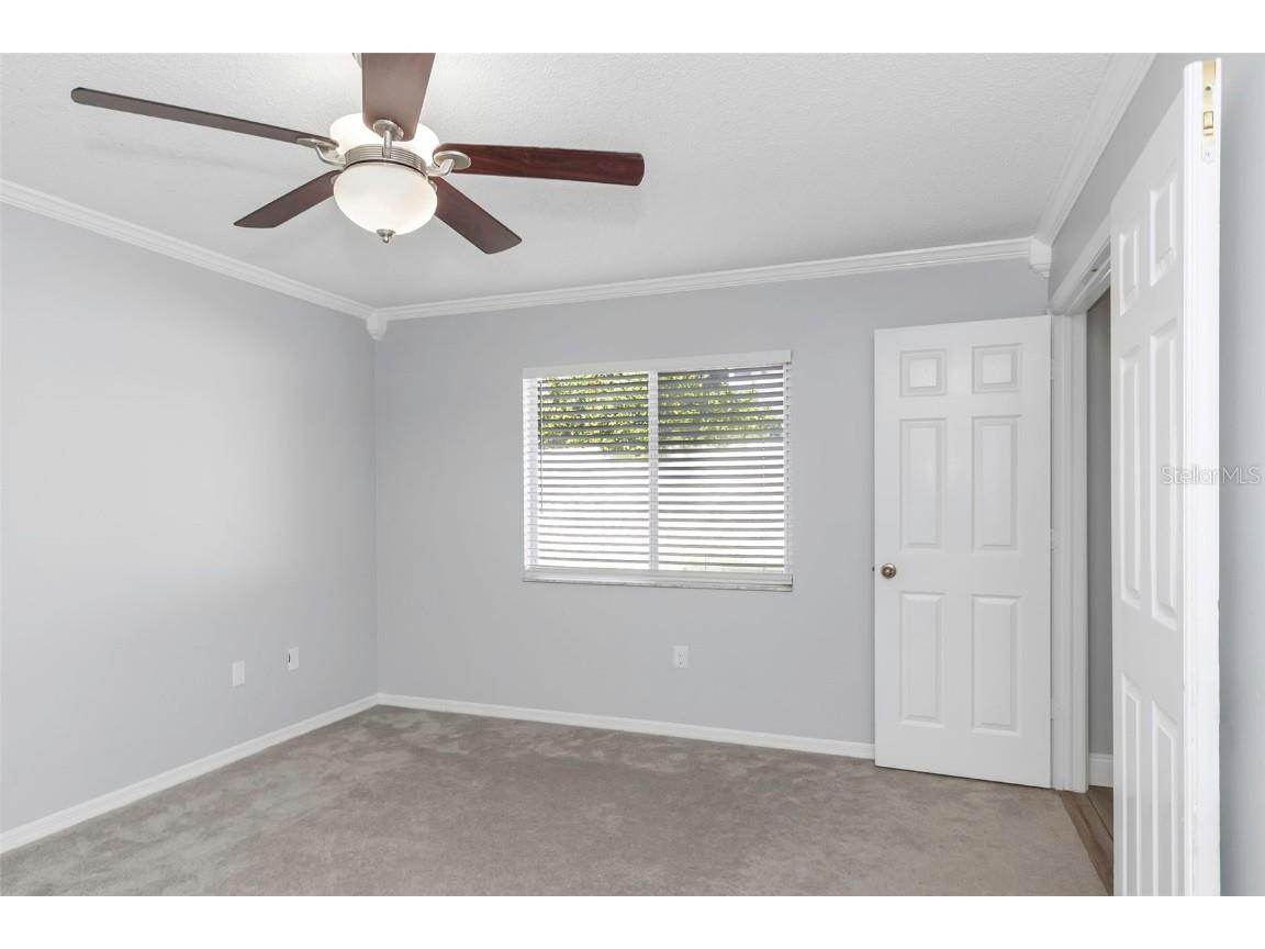 2931 Shannon Circle Palm Harbor FL 34684 TB8425793 image34