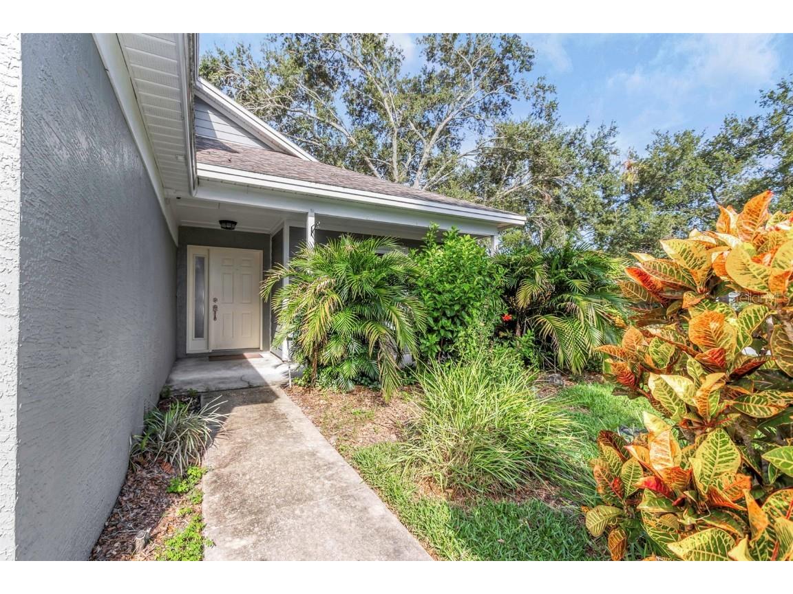 2931 Shannon Circle Palm Harbor FL 34684 TB8425793 image51