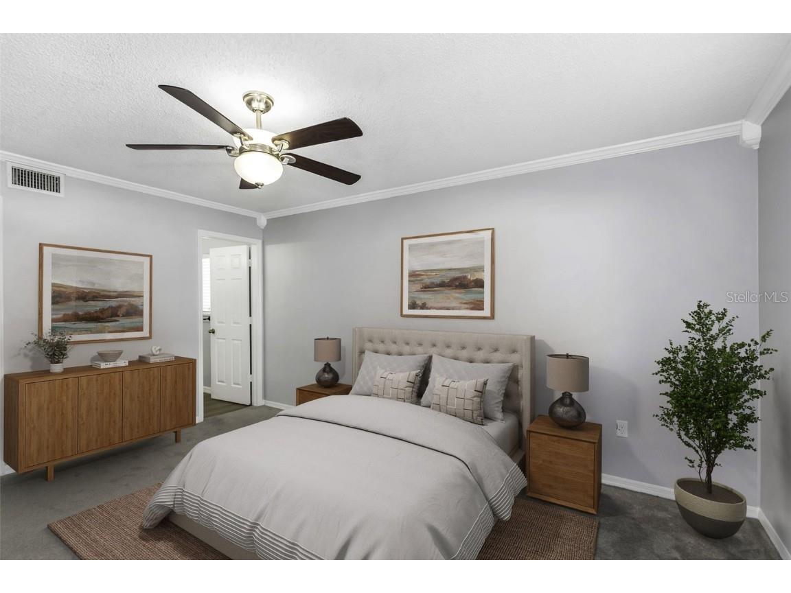 2931 Shannon Circle Palm Harbor FL 34684 TB8425793 image6