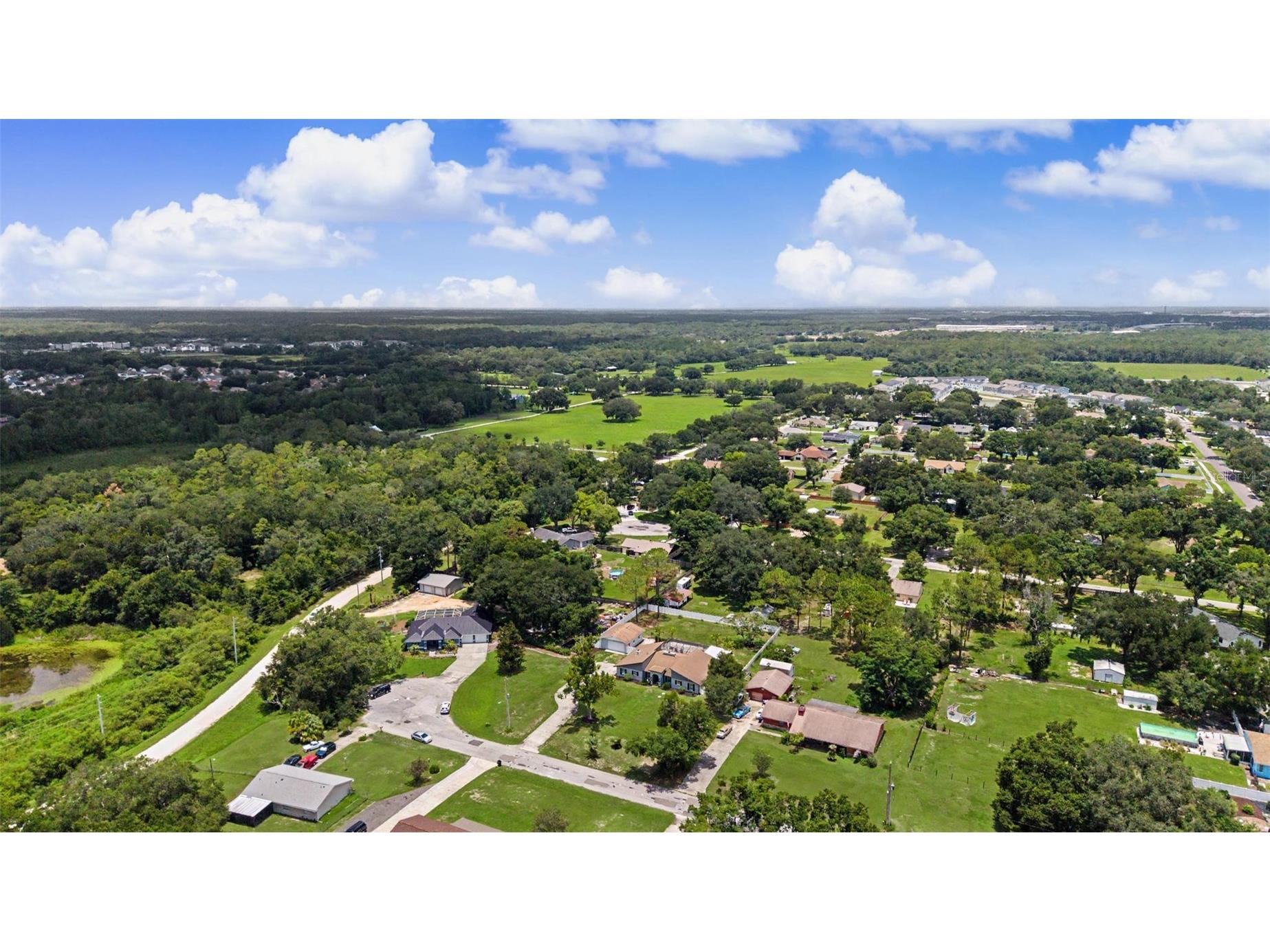 29311 Chandler Trace Wesley Chapel FL 33545 TB8522882 image51