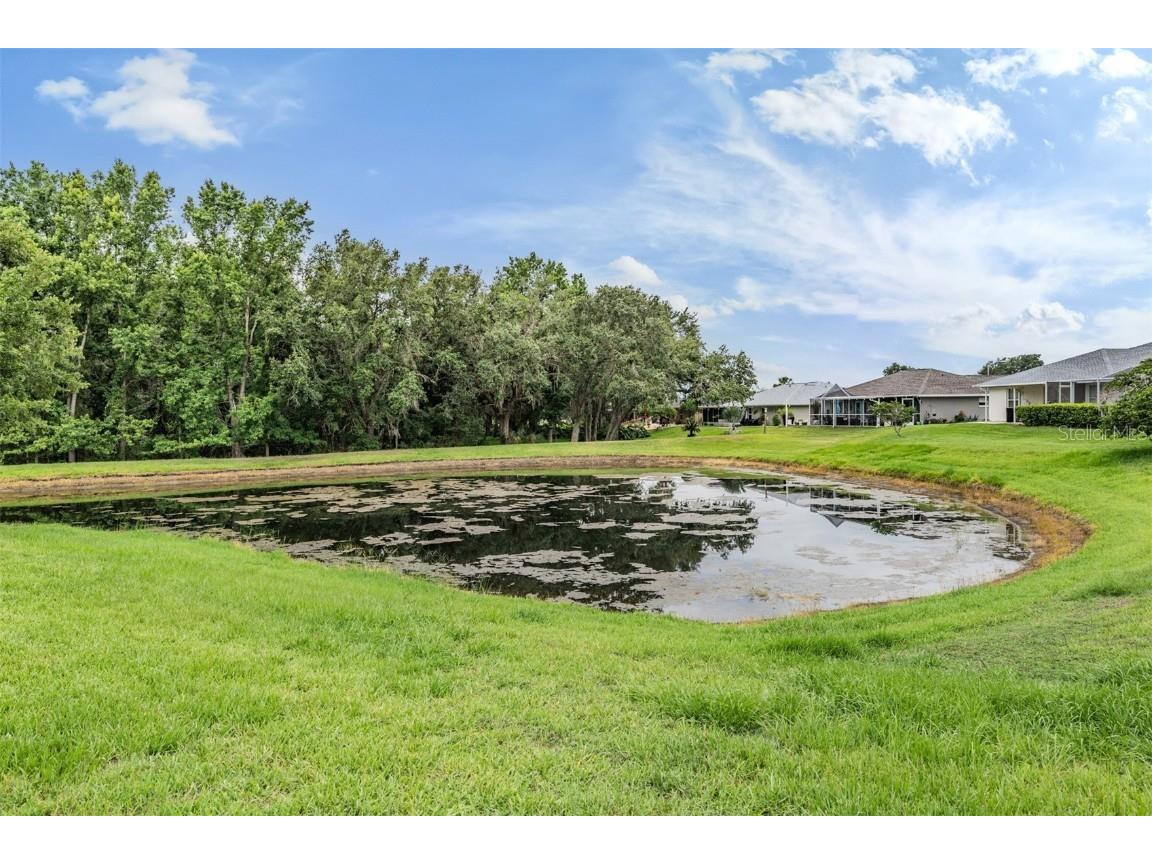 29312 Marker Loop San Antonio FL 33576 TB8358685 image11