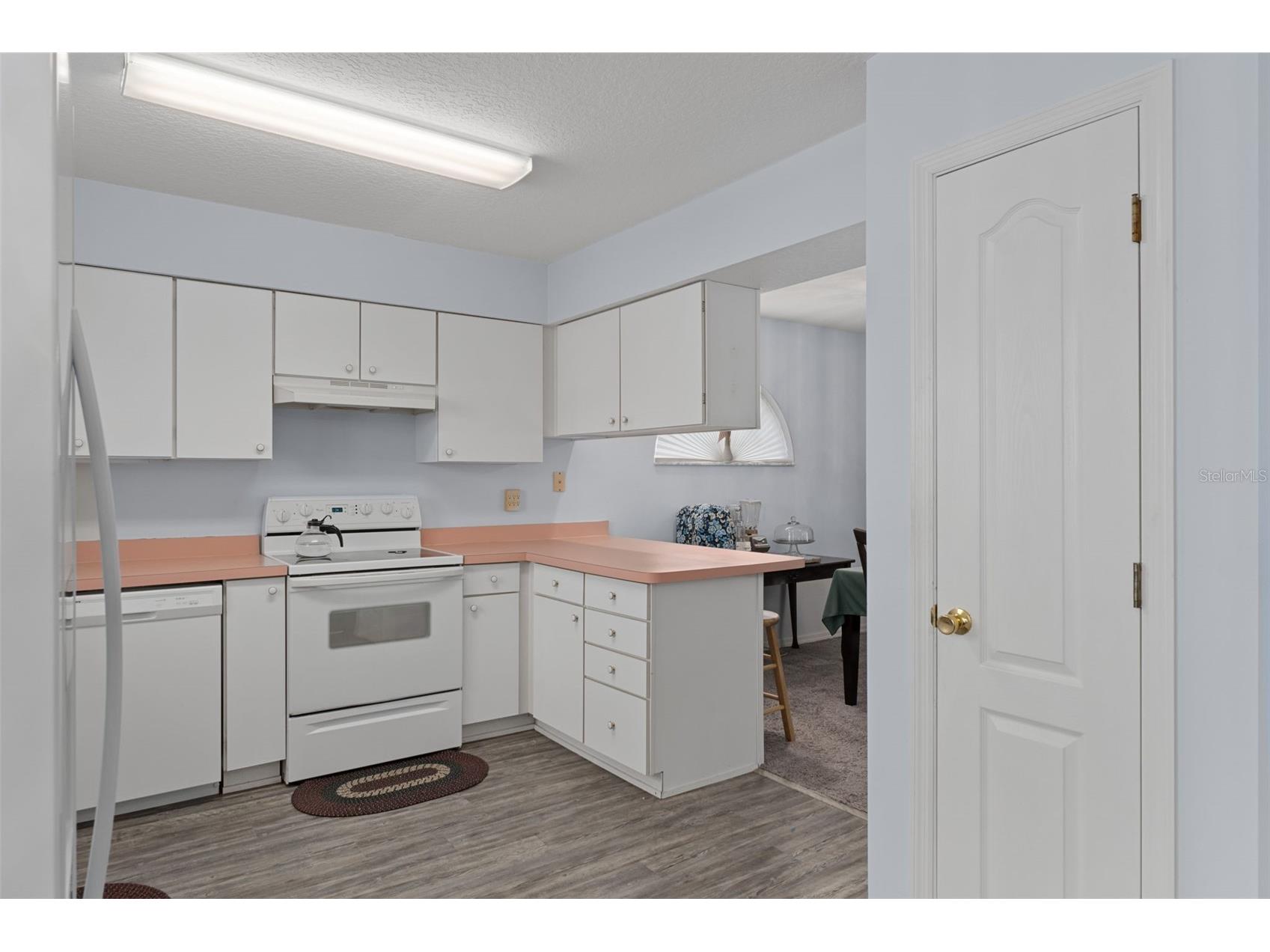29314 Princeville Drive San Antonio FL 33576 W7882355 image13