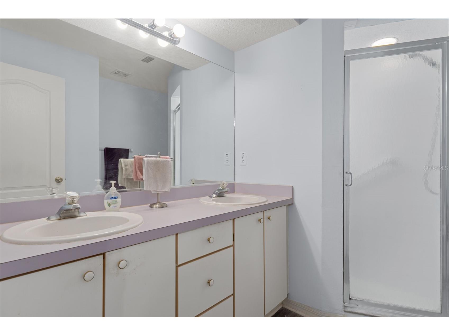29314 Princeville Drive San Antonio FL 33576 W7882355 image17