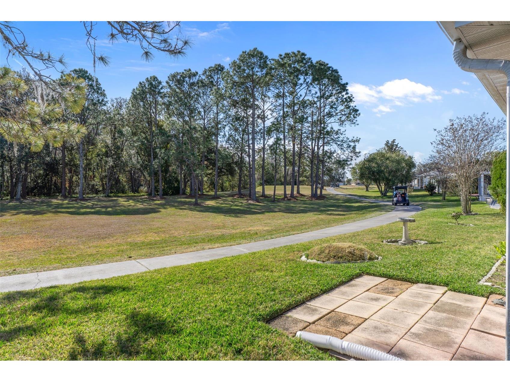 29314 Princeville Drive San Antonio FL 33576 W7882355 image28
