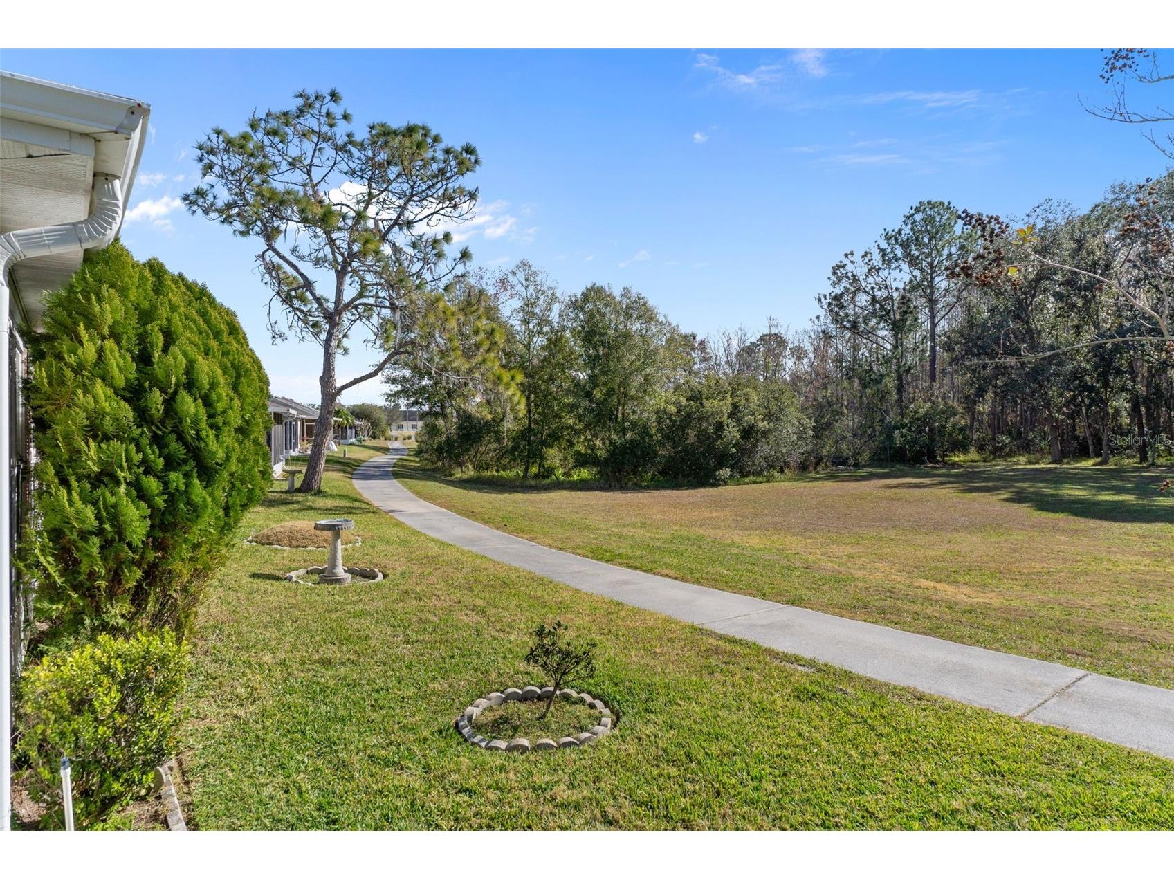 29314 Princeville Drive San Antonio FL 33576 W7882355 image32