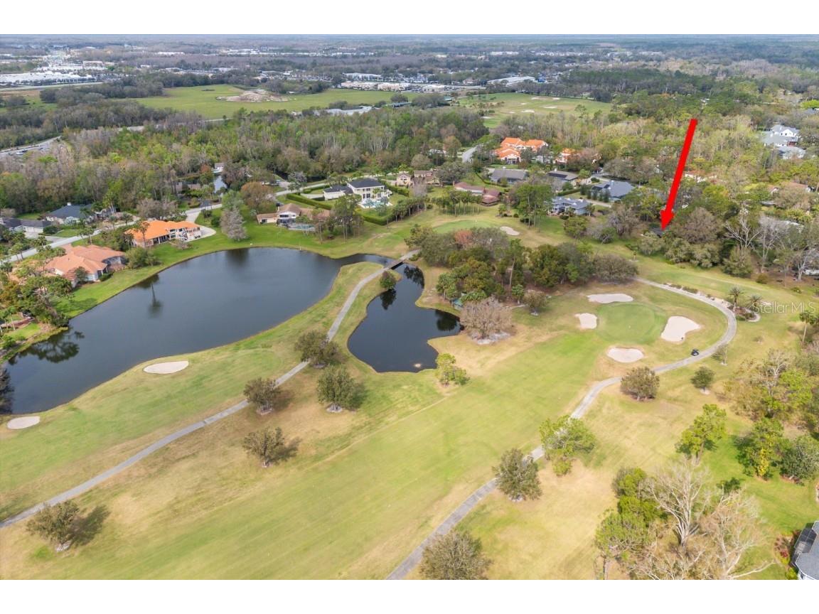 29318 Whippoorwill Lane Wesley Chapel FL 33543 TB8350685 image36