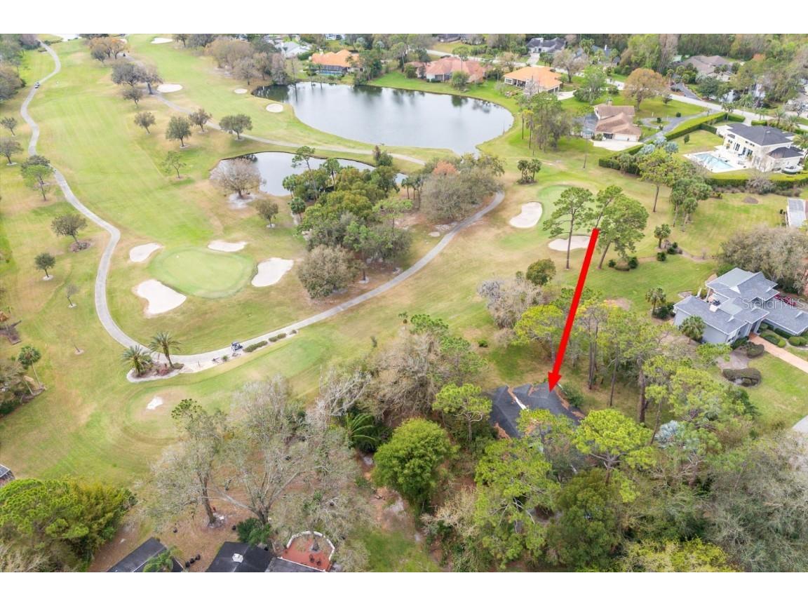 29318 Whippoorwill Lane Wesley Chapel FL 33543 TB8350685 image38