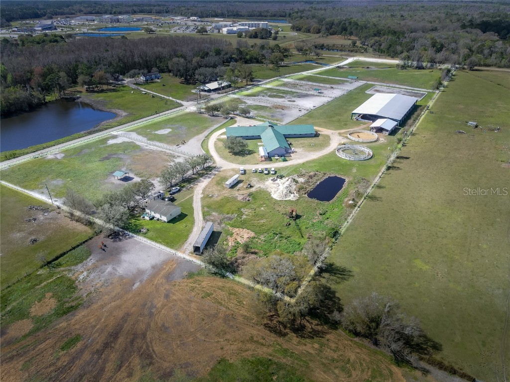 29319 Hadlock Drive Wesley Chapel FL 33544 T3430311 image1