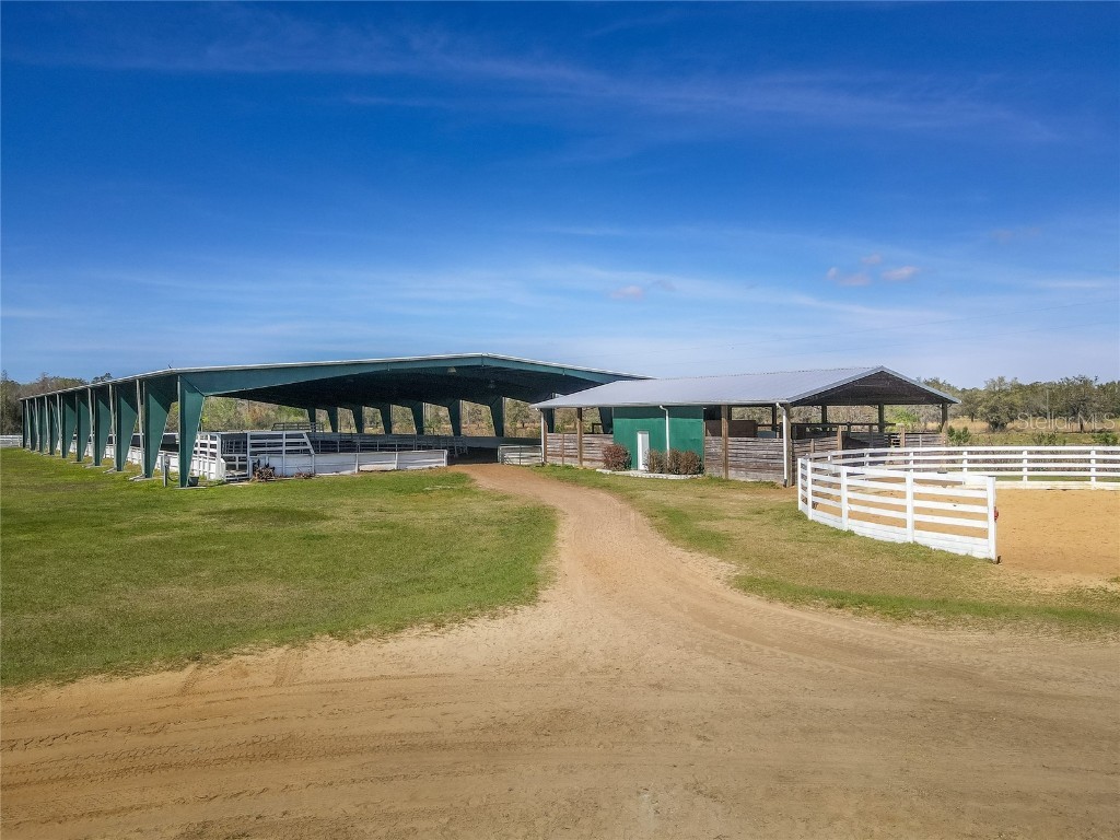 29319 Hadlock Drive Wesley Chapel FL 33544 T3430781 image1