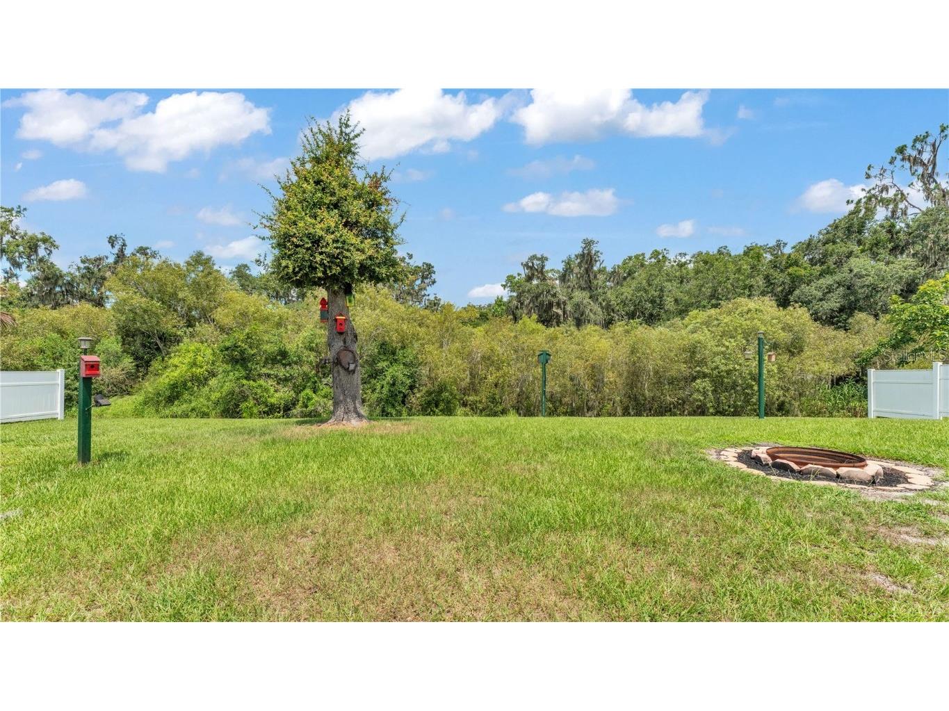 2932 Blackwater Oaks Drive Mulberry FL 33860 L4954058 image46