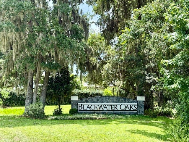 2932 Blackwater Oaks Drive Mulberry FL 33860 L4954058 image50