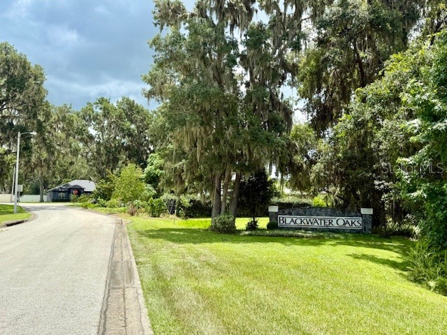 2932 Blackwater Oaks Drive Mulberry FL 33860 L4954058 image51