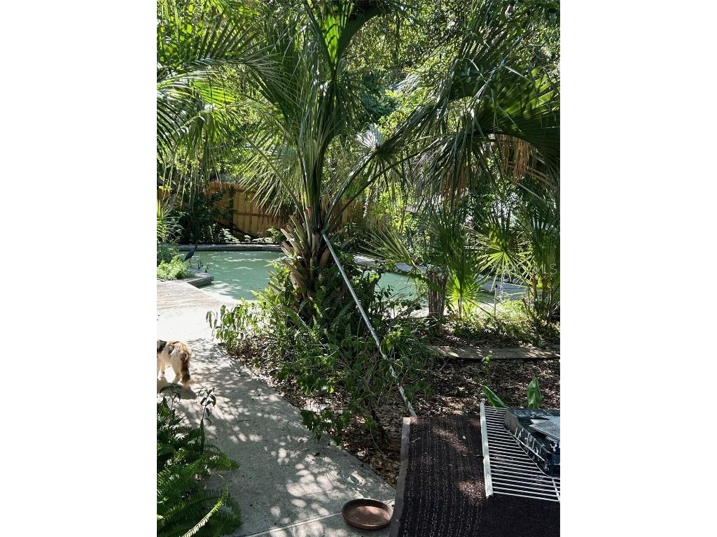 2932 Silver Ridge Drive Orlando FL 32818 O6321440 image9