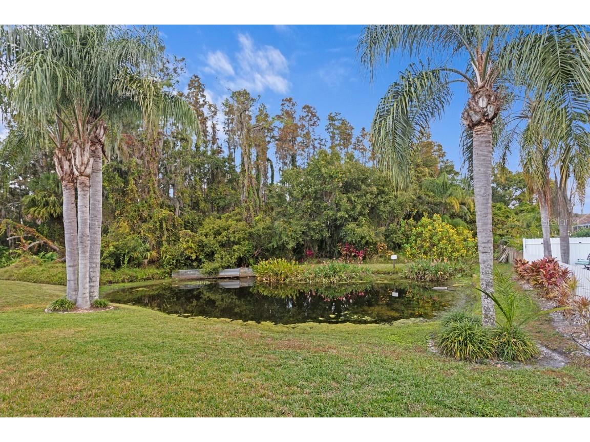 29321 Yarrow Drive Wesley Chapel FL 33543 TB8447904 image4