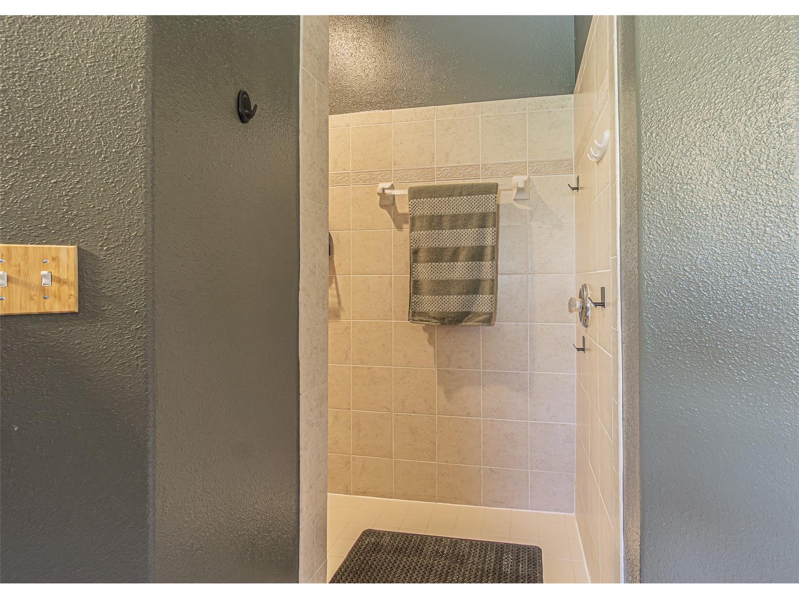 29324 Coharie Loop San Antonio FL 33576 TB8505718 image24